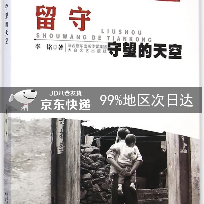 关注丛书·留守：守望的天空