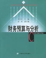 财务预算与分析