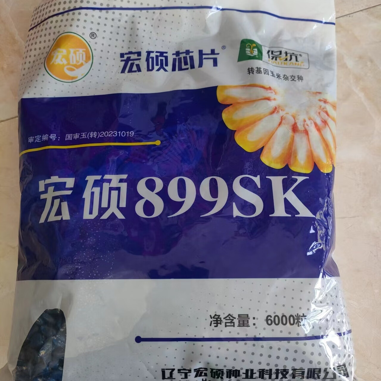升级版宏硕899抗虫抗旱耐涝不倒伏不秃尖抗锈病斑病粮质好耐密高
