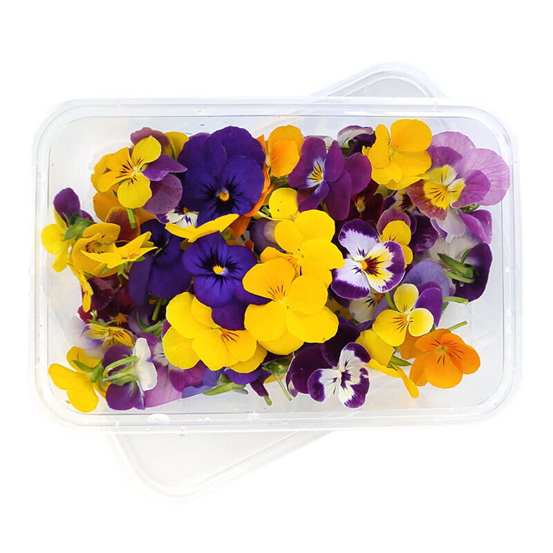 生果乐新鲜三色堇食用花花草三色鲜花冷意烘培西餐酒店摆盘装 5g