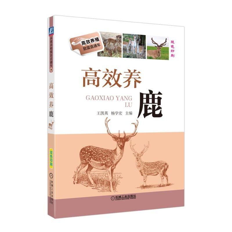 高效养鹿【正版图书】