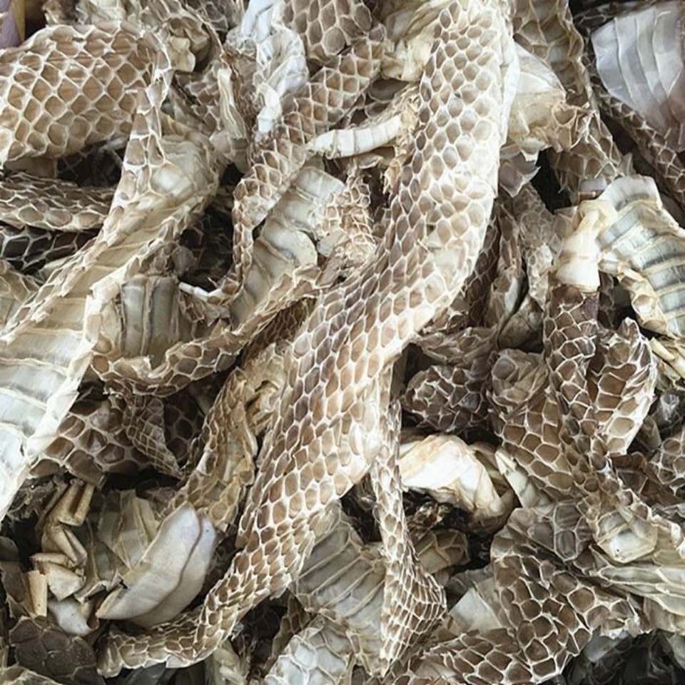 中药材 蛇蜕 蛇蜕皮 蛇退 龙衣 蛇皮 长虫皮 青龙衣 蛇壳500g