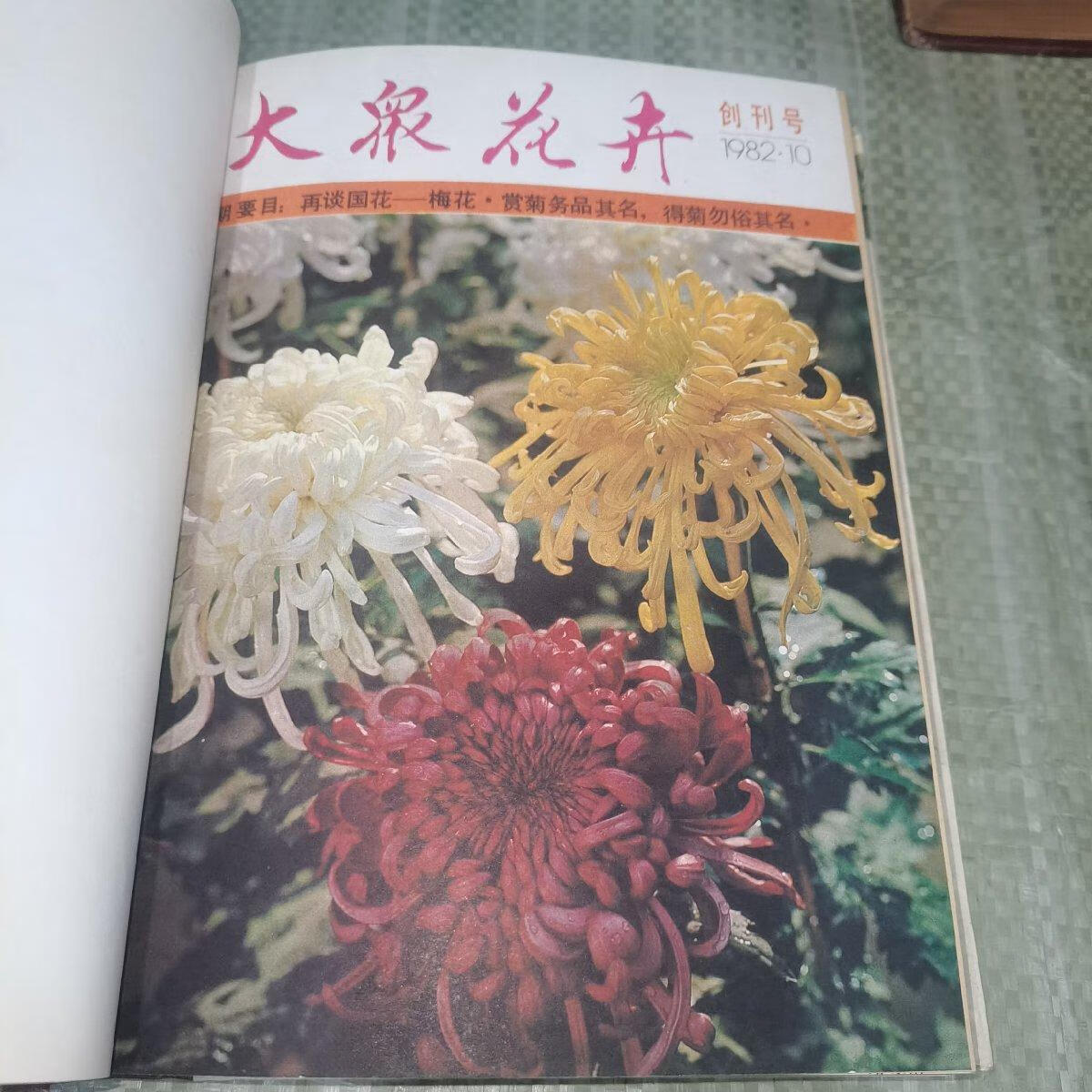 [二手9成新] 大众花卉(双月刊)合订本:1982(创刊号)-1984年