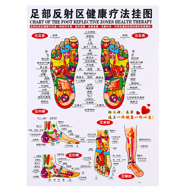 艾灸经穴部位图 人体经穴部位图 头部按摩图 人体经络图 足部反射区