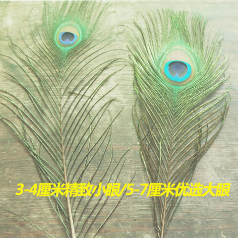 真孔雀羽毛翎尾大眼睛diy饰品家居摆设客厅婚庆花瓶装饰品 最短款精致