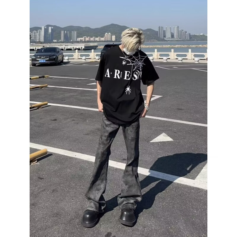 黑盒白美式印花蜘蛛短袖t恤男女春夏季新款国潮高街oversize五分上衣男 JXFS-1019黑色 XL 【130-145斤】