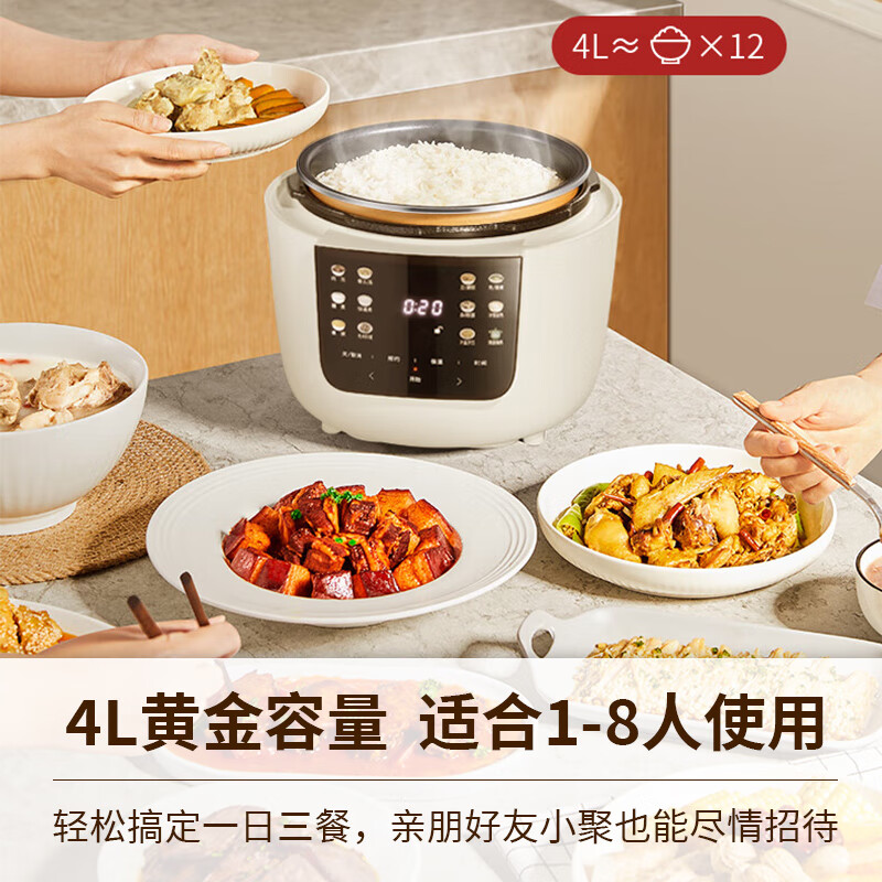 松下NF-PC401-L电压力锅 - 烹饪新体验的必备厨房利器
