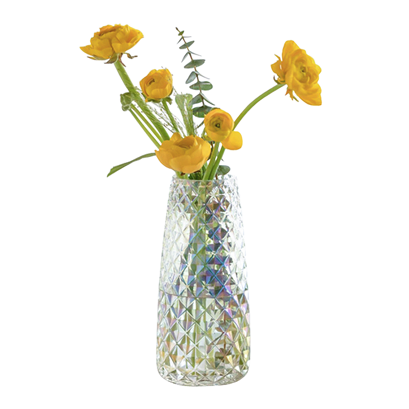 盛世泰堡 北欧富贵竹花瓶摆件透明玻璃插花瓶仿真花干花满天星水培容器客厅装饰 菠萝纹22cm