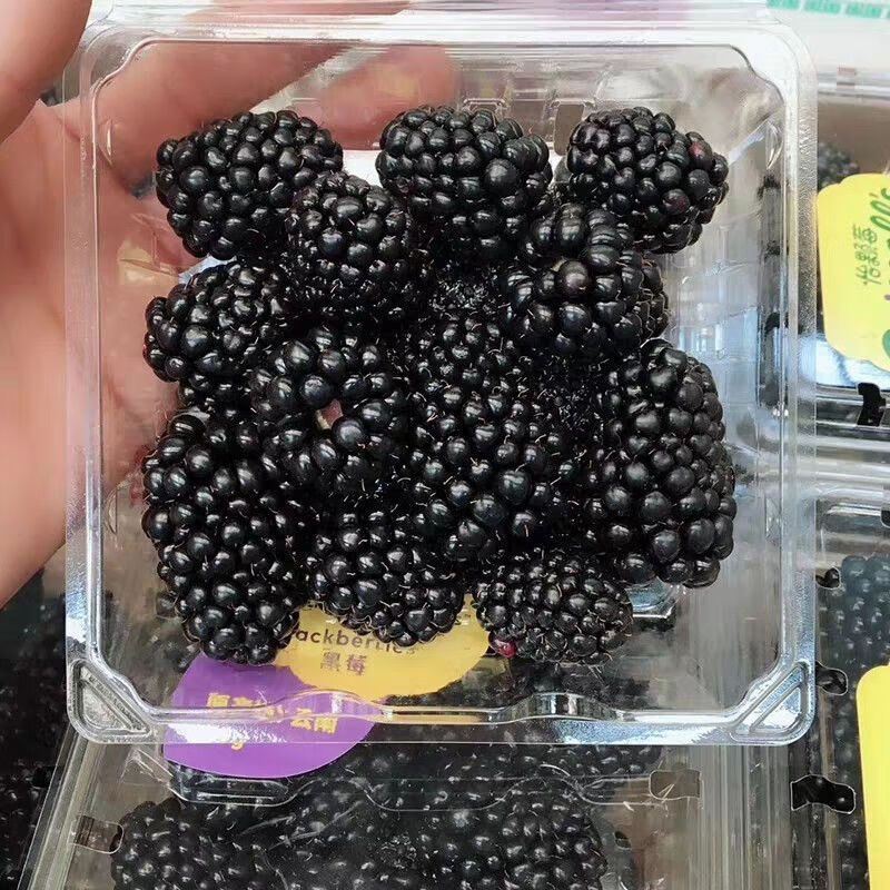 新鲜黑树莓2/4盒黑莓覆盆子稀有高端水果孕妇水果125克/盒云南 2盒装