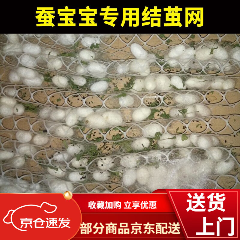 蚕宝宝结茧房养蚕茧架宝宝的结茧网房方格工具吐丝架盒房结实实用 80*