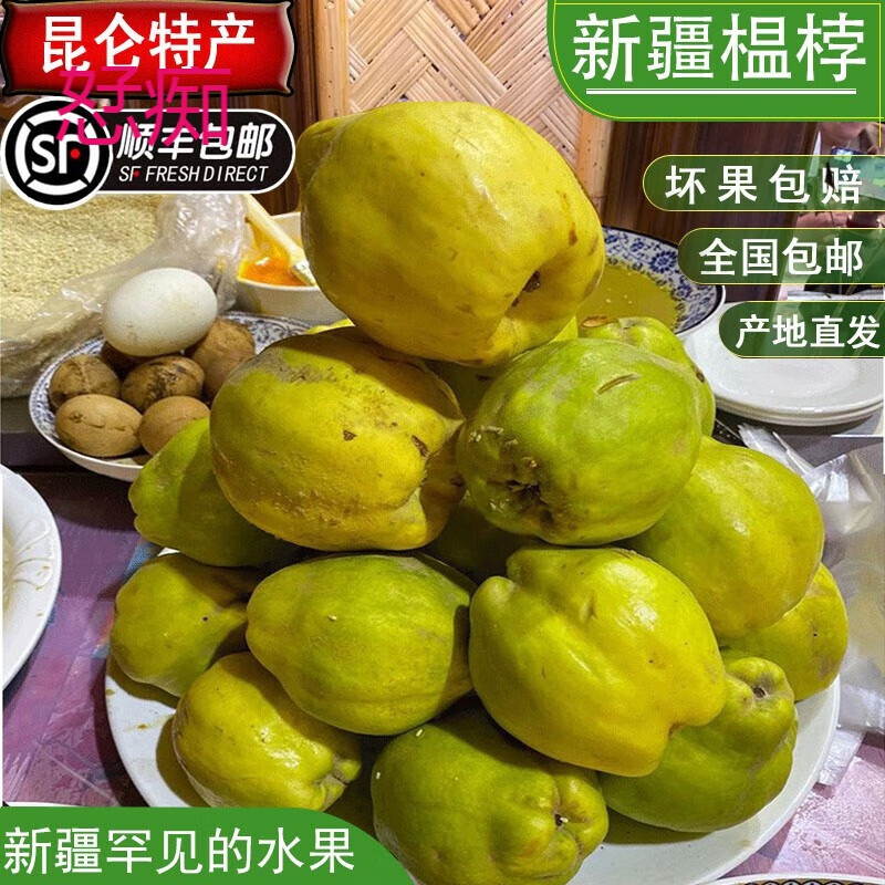 ��´���½�����������X�K�K ���ٹϘX�K�°عϘX�K�½�ľ�ϘXľ�� 800��  ����װ