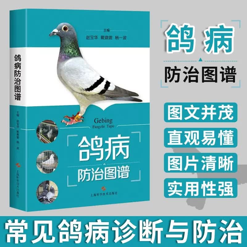 鸽病防治图谱书籍 赵宝华 鸽子科学饲养技术书常见病教程书g
