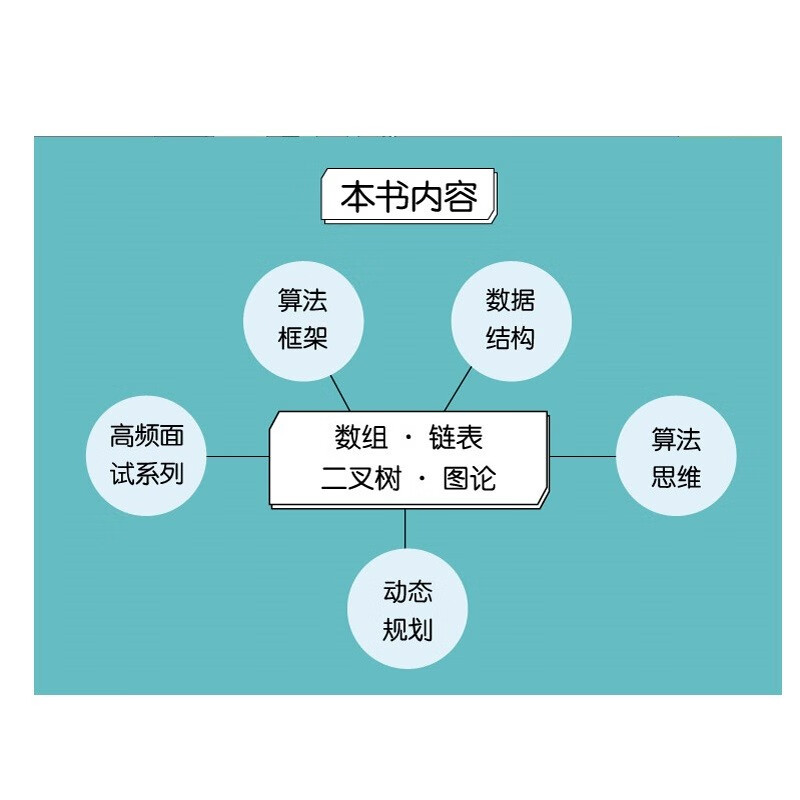 【限量签名版】labuladong的算法笔记（代码以Java或C++实现，含数据结构）