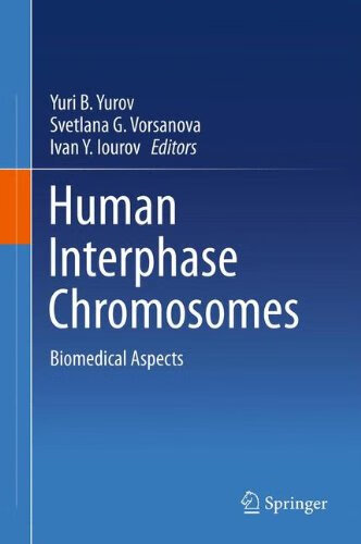 预订 human interphase chromosomes
