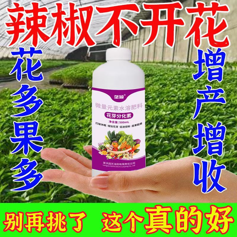 嵩晴正品辣椒花芽分化素催花促花叶面肥保花保果花多果多促花素 辣椒