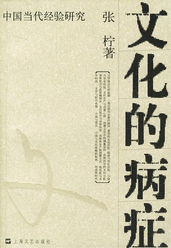 文化的病症 张柠 著