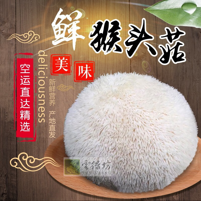 高原云品【新鲜猴头菇】高原名菌鲜菌菇 新鲜送达