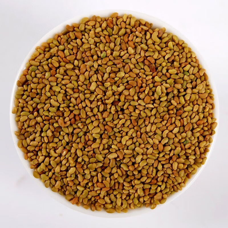 yun)昂景进口紫花苜蓿草种子多年生四季牧草种子苜蓿菜鸡鸭鹅牛羊鱼草