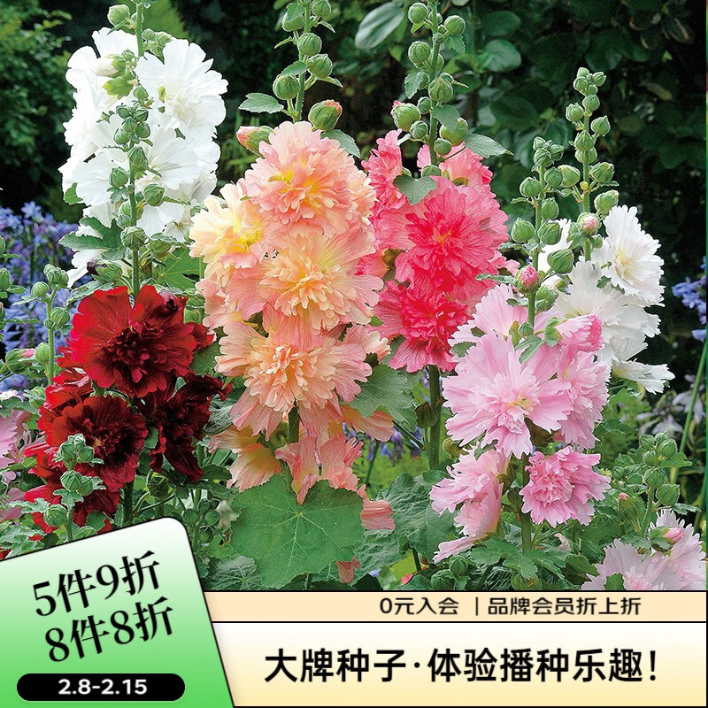 花草林木类电商最低价查询方法|花草林木类价格走势图