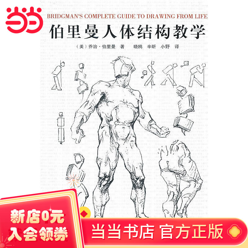 伯里曼人体结构教学