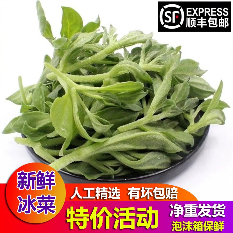 顺丰  新鲜山东冰草 即食生吃冰菜新鲜蔬菜沙拉 3斤