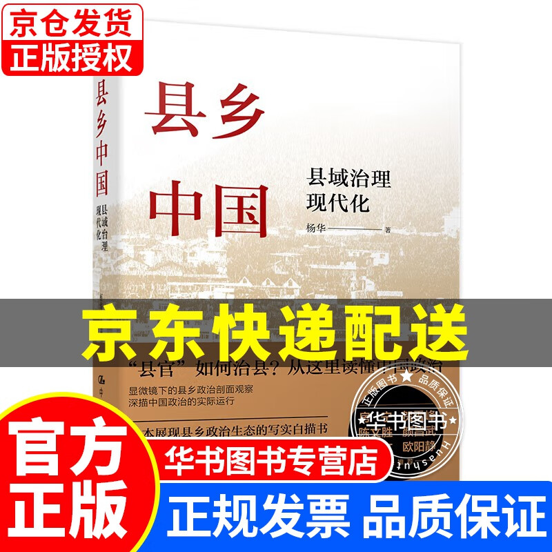 县乡中国：县域治理现代化 正版
