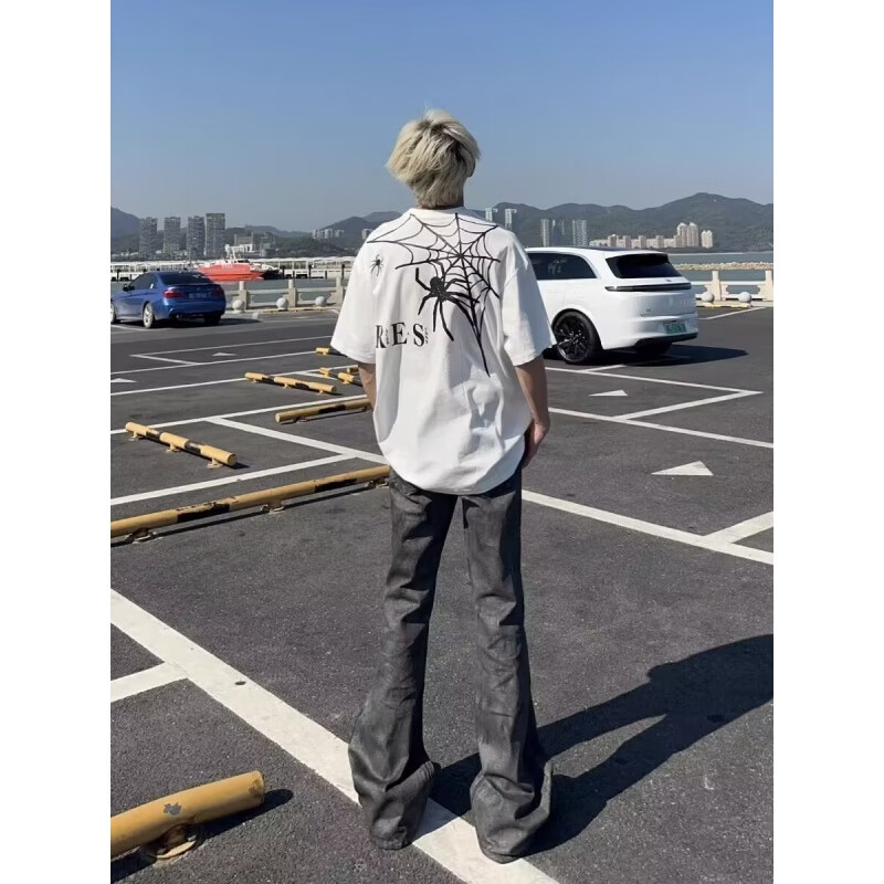黑盒白美式印花蜘蛛短袖t恤男女春夏季新款国潮高街oversize五分上衣男 JXFS-1019黑色 XL 【130-145斤】