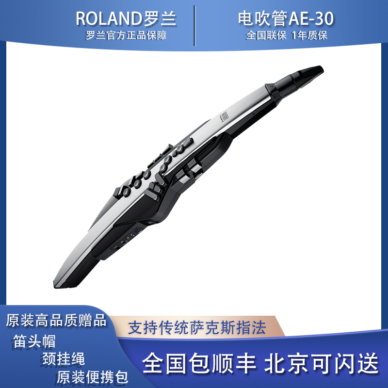 Roland 罗兰电吹管AE01 AE05 AE10 新款AE30 成人初学管乐竖笛指法电子萨克斯 AE-30