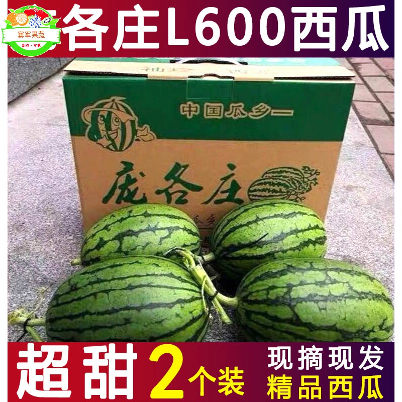 (现货)北京大兴庞各庄小西瓜l600手剥西瓜新鲜采摘当季孕妇水果 整箱2