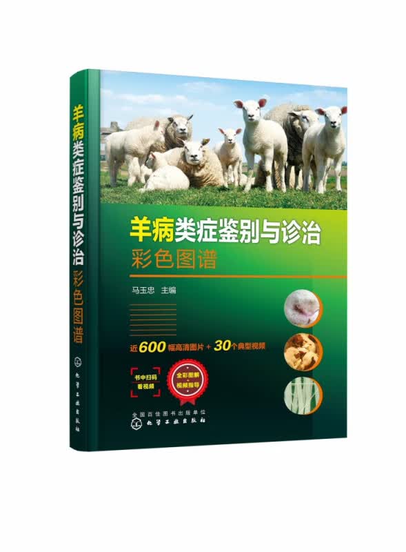 羊病类症鉴别与诊治彩色图谱(精)