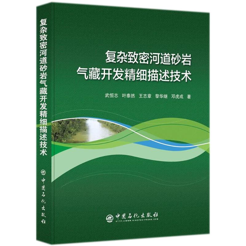 复杂致密河道砂岩气藏开发精细描述技术