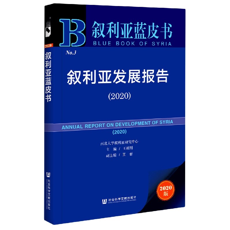 叙利亚发展报告(2020)/叙利亚蓝皮书