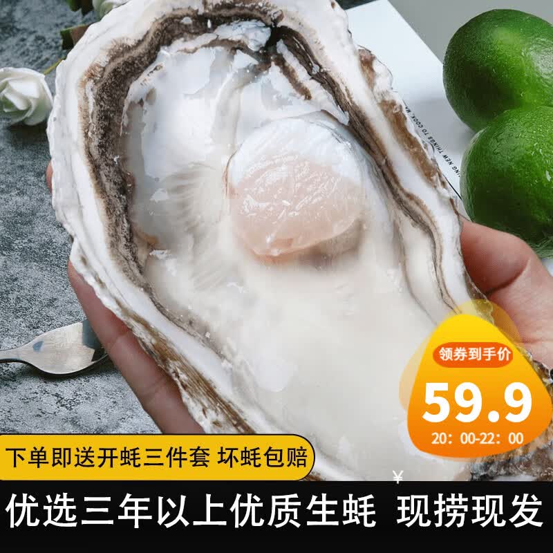 鲁禧 乳山生蚝鲜活特大牡蛎 山东地标产品 新鲜海蛎子整箱 刺身级生蚝 【霸王蚝】6XL号净重4.5斤装使用感如何?