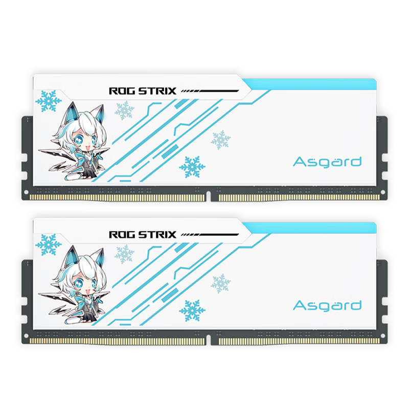 阿斯加特（Asgard）32GB(16Gx2)套 DDR5 6800 台式机内存条 吹雪联名款马甲