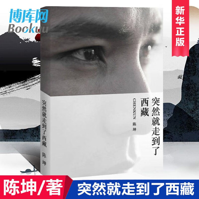 突然就走到了西藏 陈坤心灵告白 行走的力量 旅行书籍