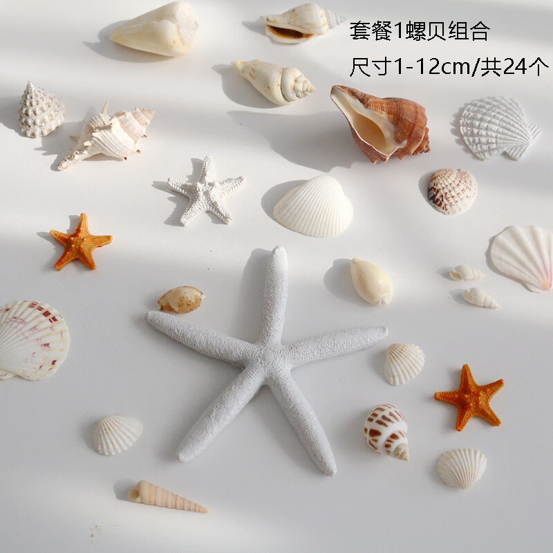 初构想ins风贝壳海星摆件装饰海螺鱼缸造景手工diy材料天然饰品拍照