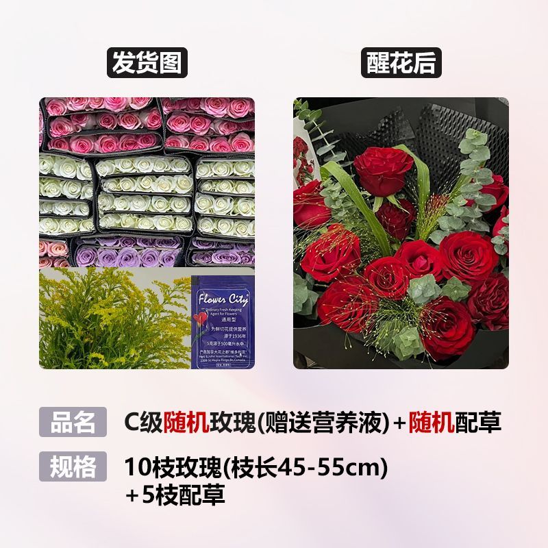卉双520情人节礼物玫瑰鲜花基地云南昆明直发稀有玫瑰花水养花束花材 10枝随机玫瑰+5枝配草【+鲜花营 C级玫瑰-枝长45-55cm