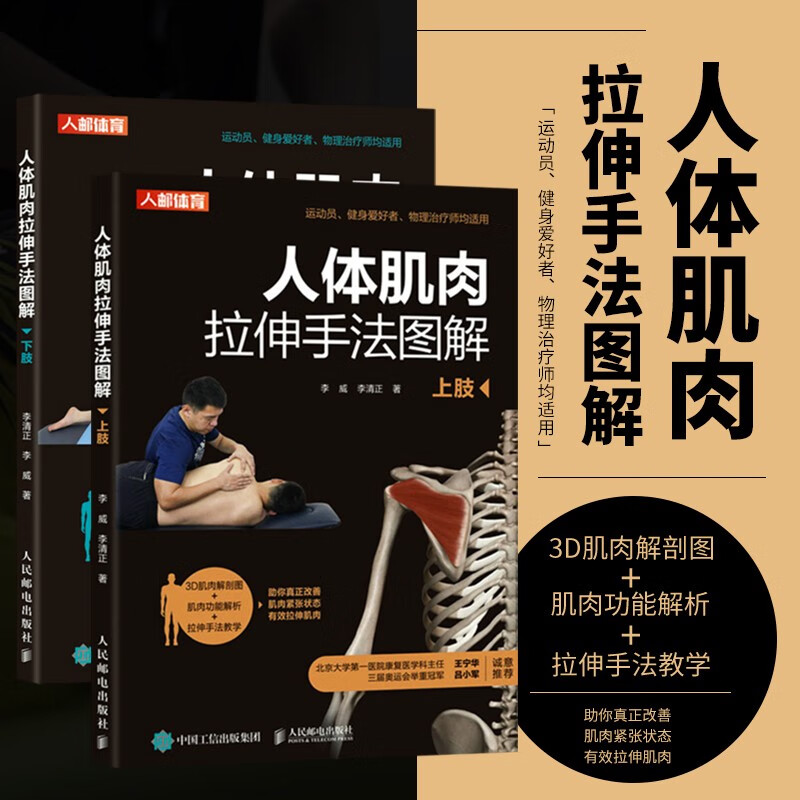 人体肌肉拉伸手法图解 上肢 下肢 改善运动功能障碍的物理 拉伸手法