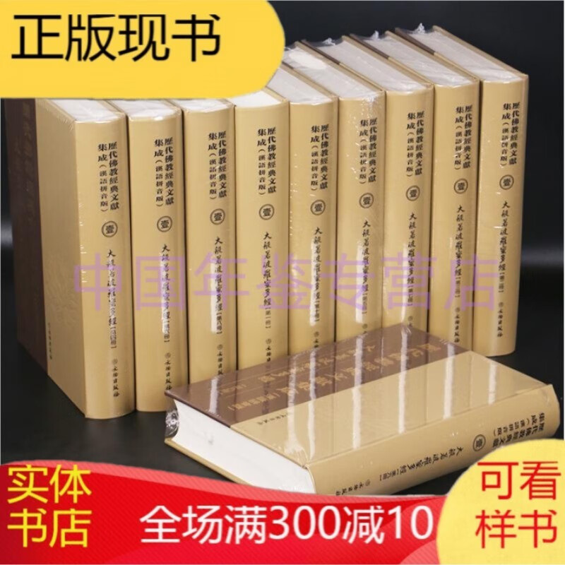 大般若波罗蜜多经 大般若经（600卷汉语拼音10册 历代佛教文献集成）