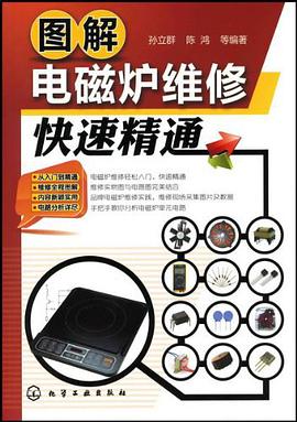 【包邮】正版现货图解电磁炉维修快速精通 孙立群//陈鸿 化学工业
