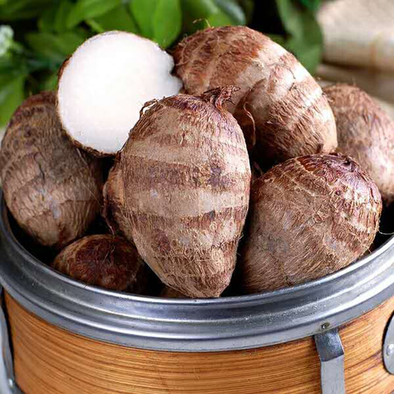 桃李村云南新鲜芋头农家粉糯小芋头仔山芋头自种毛芋蒸香芋生鲜团购