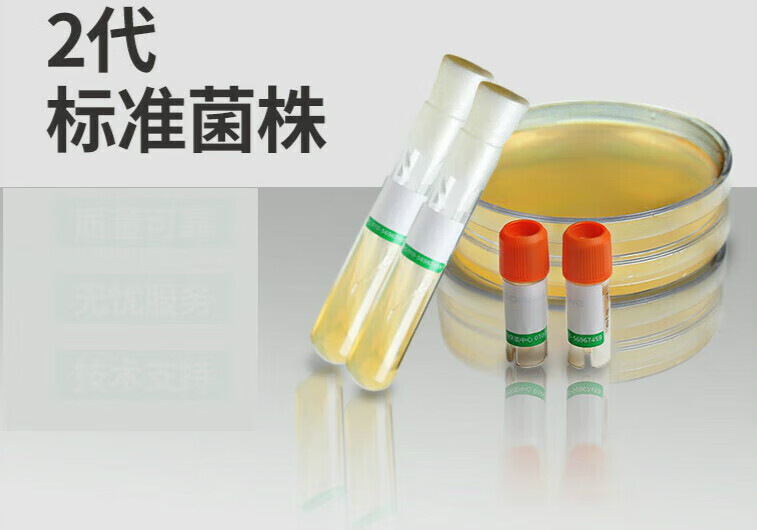 2代3代褐球固氮菌accc10096标准菌株菌肥质控对照菌株北京