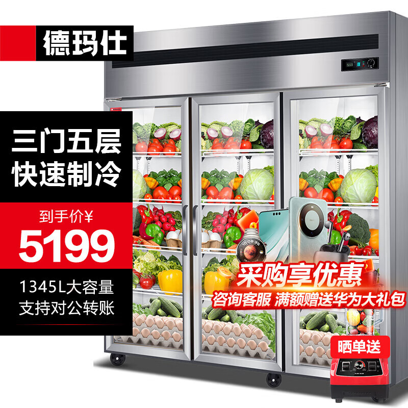 德玛仕(demashi) 商用展示柜蔬菜保鲜柜水果立式冷藏单门冰箱商用餐饮