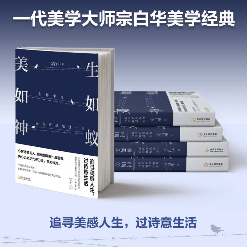 生如蚁,美如神: 怎样平凡而有诗意地过一生(美学大师宗白华美学经典)
