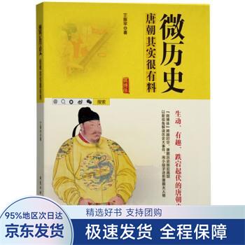 【正版全新】 微历史 丁振宇 北京工业大学出版社