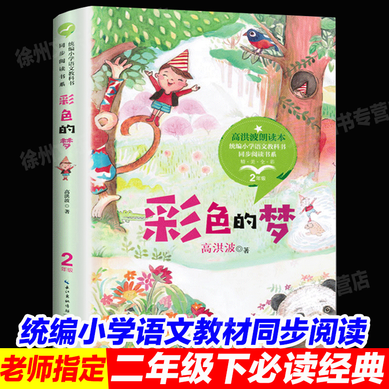 正版彩色的梦高洪波小学书阅读老师大语文教材绘本图画书小学生二年级