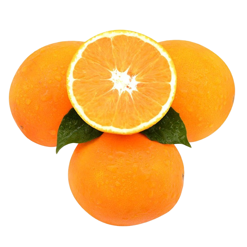 集年鲜 湖北夏橙甜橙新鲜橙子当季产地直供现采摘节日送礼生鲜水果 5斤含彩箱中大果 （单果65-70mm)
