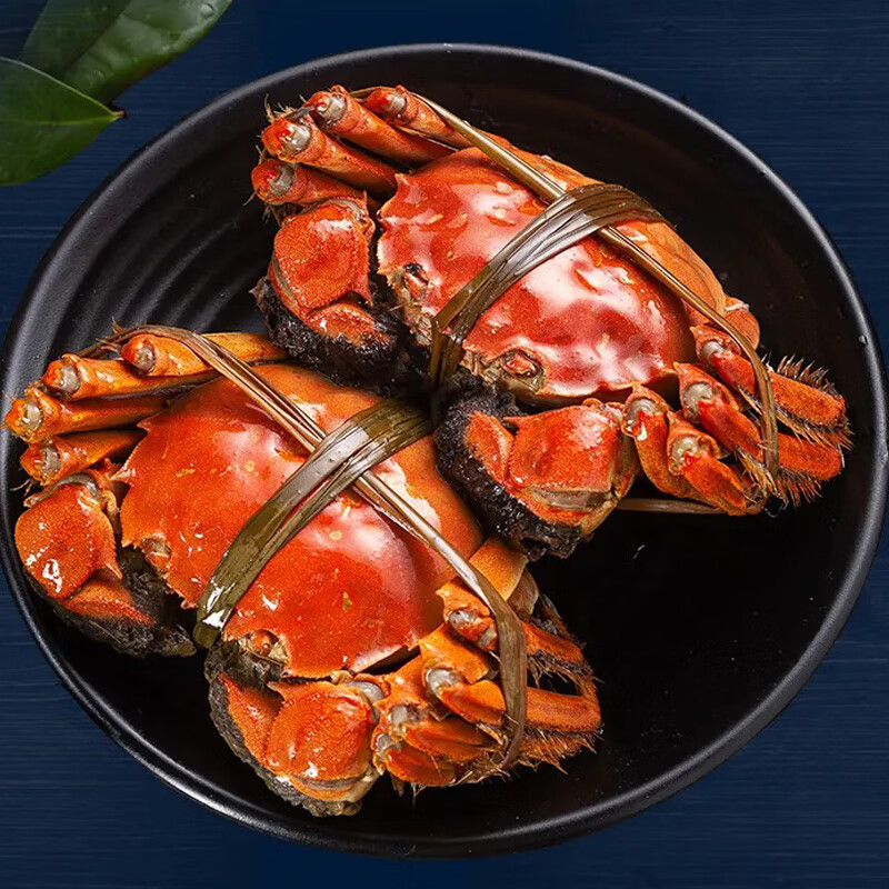 【活蟹】(网兜蟹)洪泽湖大闸蟹鲜活螃蟹 全母蟹2斤装7-10只装