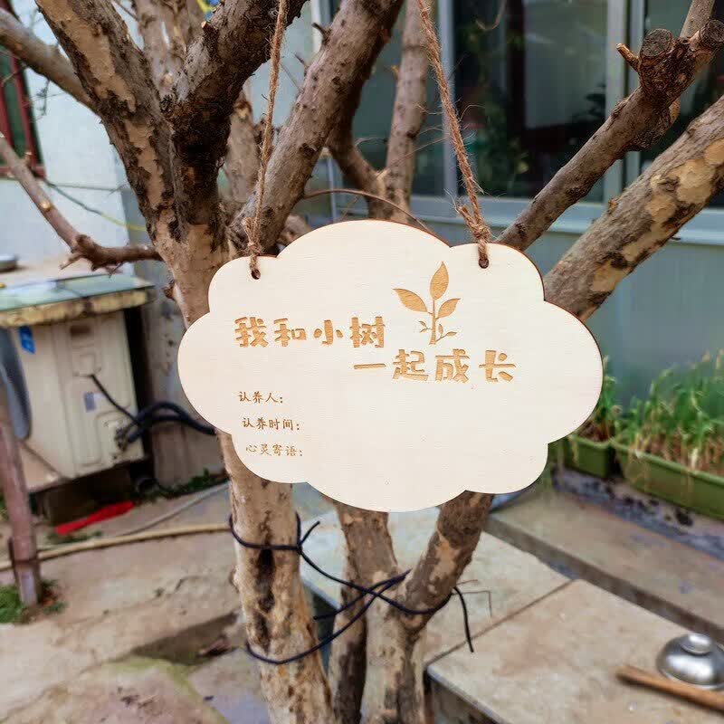 山头林村定制树牌植树认养牌树木介绍挂牌植物吊牌植树节小树牌实木