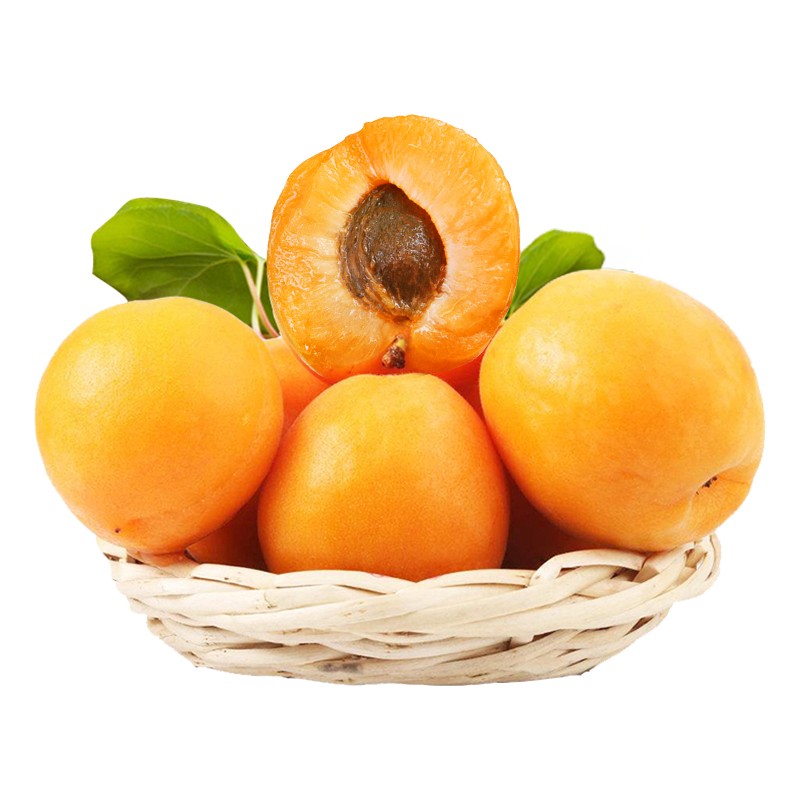 山西大黄杏 酸甜孕妇水果 新鲜应季水果 5斤装